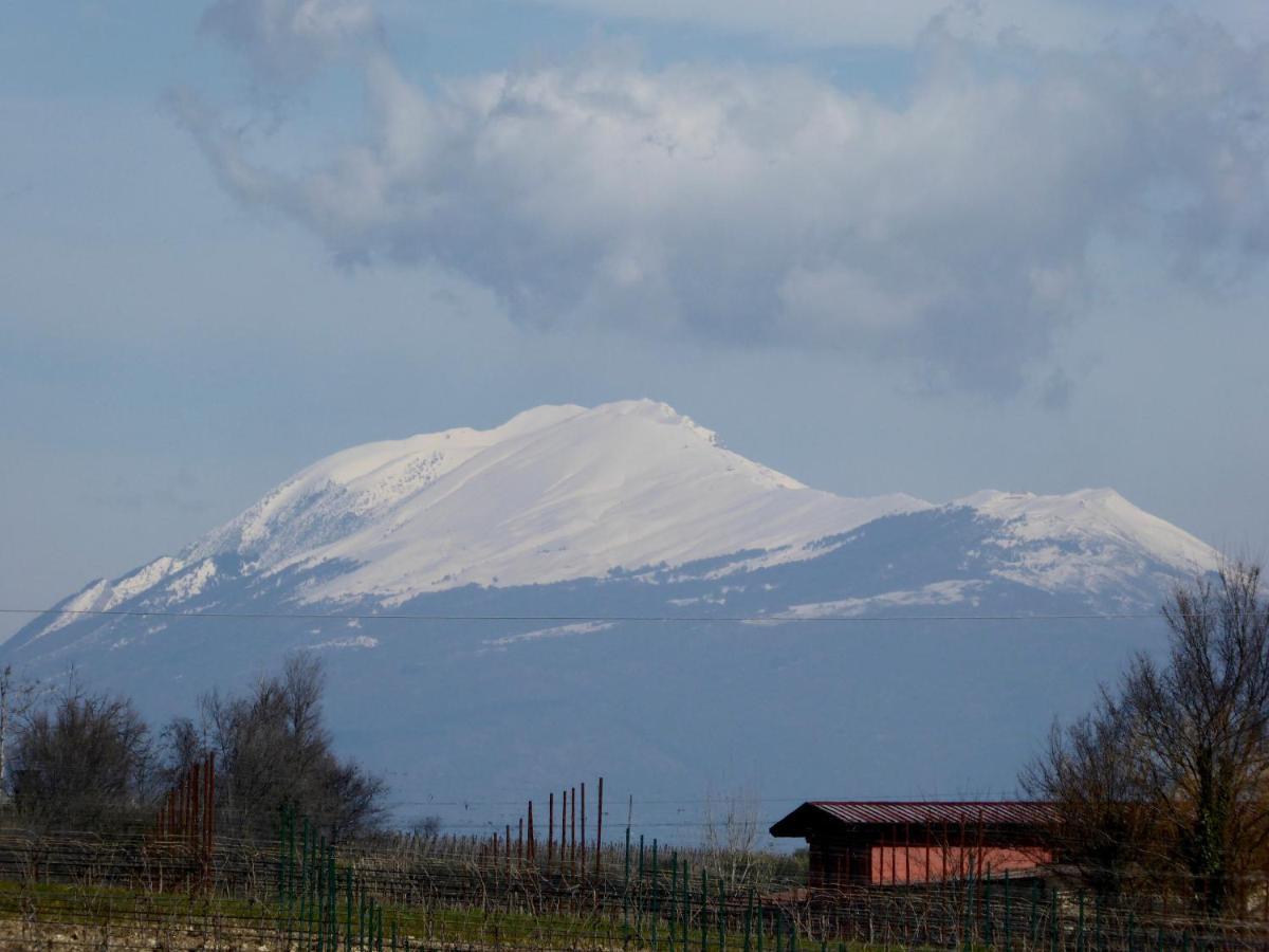 Casa Marele Villa San Martino della Battaglia Luaran gambar